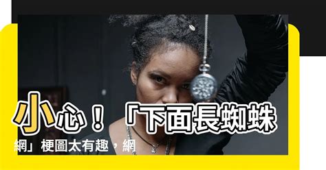 下面長蜘蛛網梗圖|【下面長蜘蛛網梗圖】小心！「下面長蜘蛛網」梗圖太有趣，網紅。